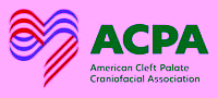 Acpa Fullcolor Logo Acpa Fullcolor Logo