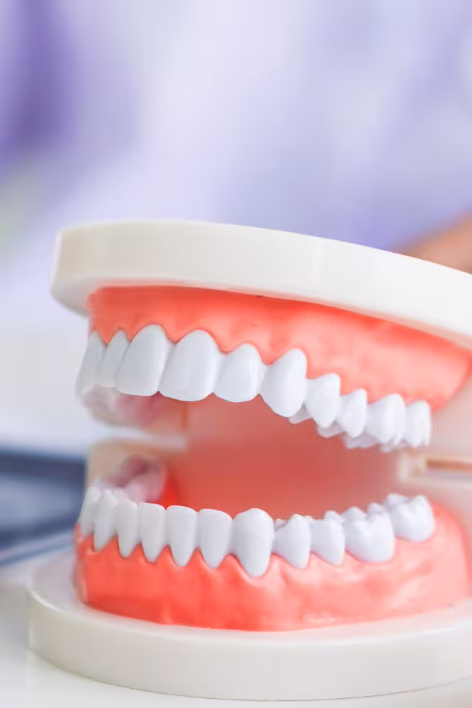 Lp Orthodontist Madison 6 Lp Orthodontist Madison 6
